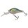 Blue Gill GB
