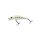 Grass Trout