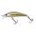 Minnow