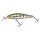 Blue Gill GB