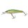 Electric Pike