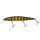Zander Bee