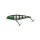 HL Sunfish