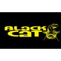 Black Cat