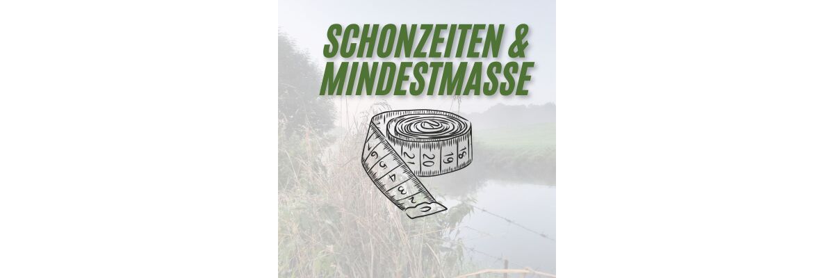 Schonzeiten Fischarten in Deutschland - Schonzeiten Fischarten in Deutschland