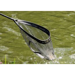 Drennan Acolyte Kescherkopf Hook resistant 18 | 46cm