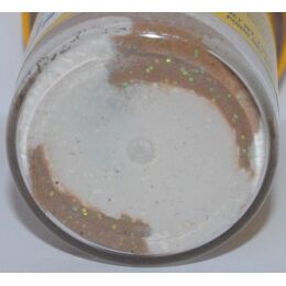 Berkley Trout Bait Bread Crust Glitter 50g