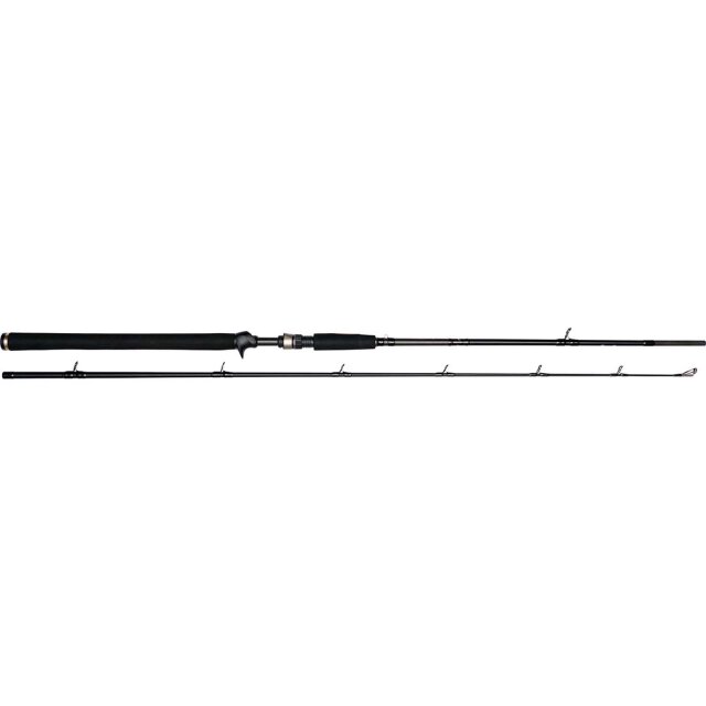 Westin W3 Jerkbait-T 2nd 66"/195cm XXH 40-130g 2sec
