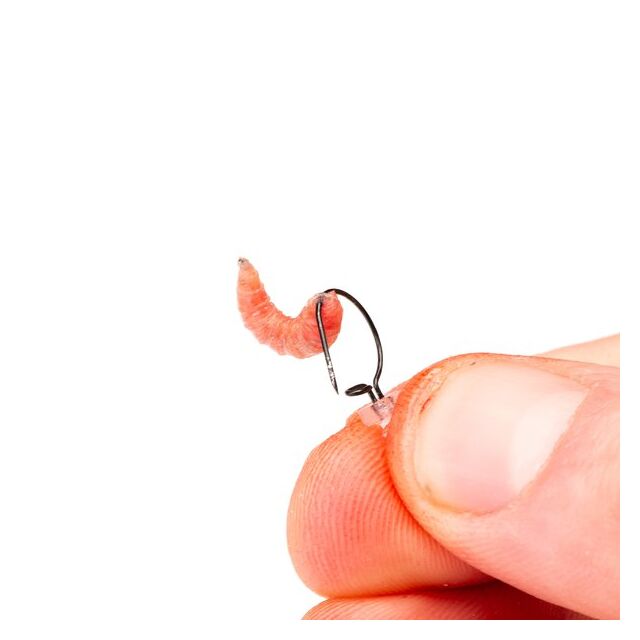 Nash Maggot Screw 5 Stk.