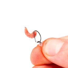 Nash Maggot Screw 5 Stk.