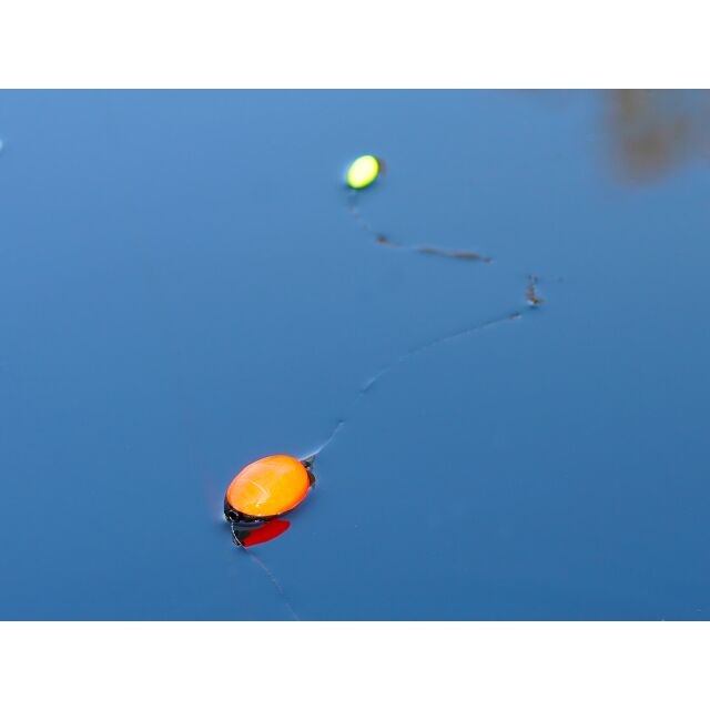 Trout Master UFO Floater