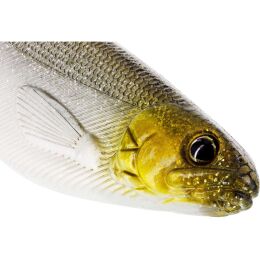 Westin ShadTeez 12cm 15g Official Roach