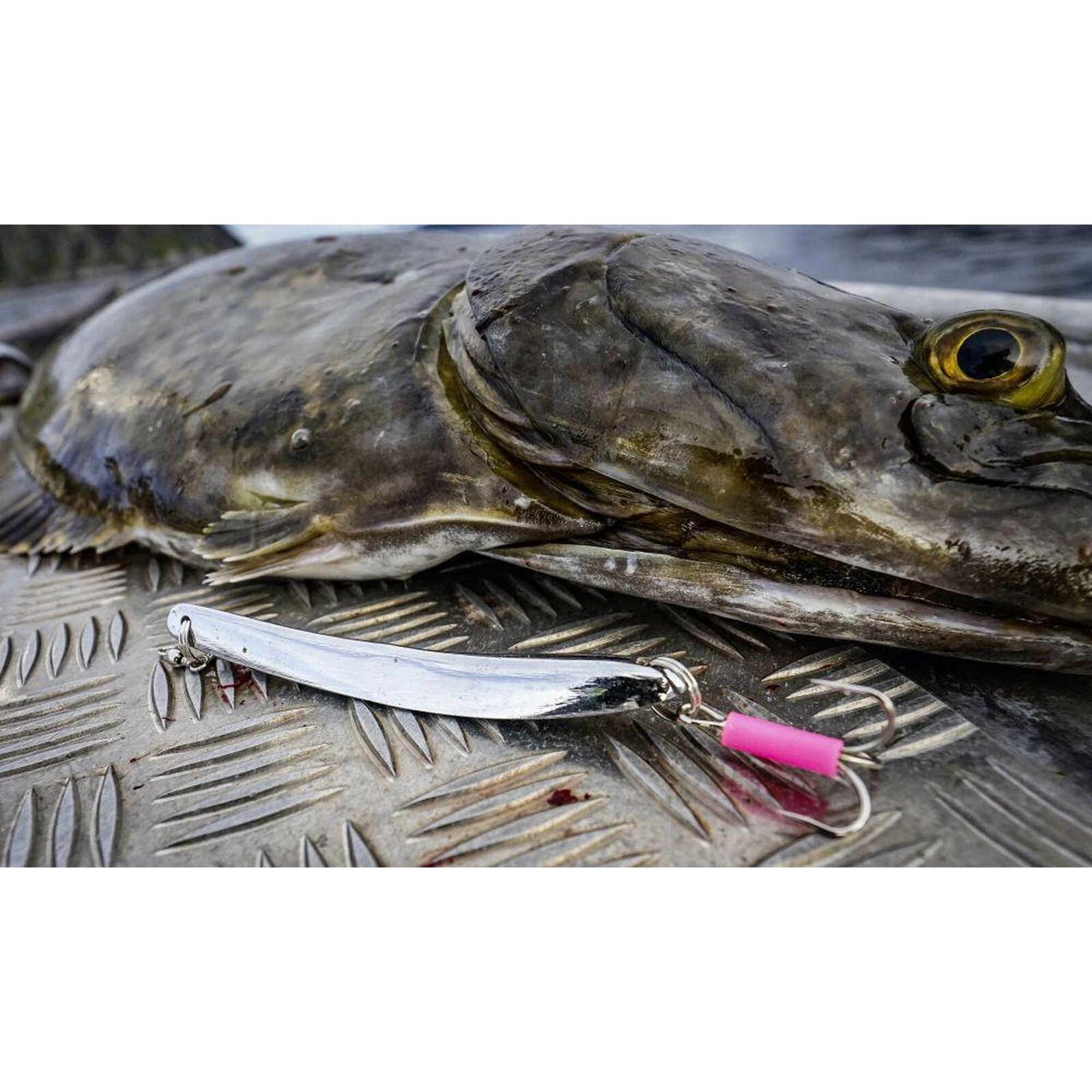 Rhino Chromat Pilker chrom/silber