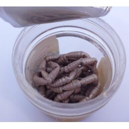 Berkley Power Bait Power Maggot weiss 110 Stk.