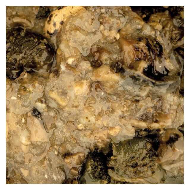 Nash Mussel Blend 500ml