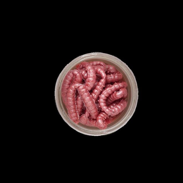 Berkley PowerBait Power Honey Worm Bubblegum