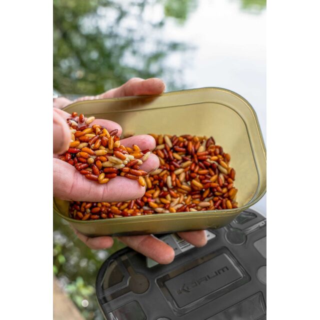 Korum Bait Tub | Köderdose
