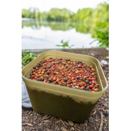 Korum Bait Tub - 1Pt/0.6L