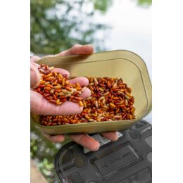 Korum Bait Tub - 2Pt/1.2L