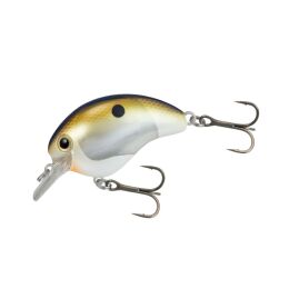 Bt World Rush 56F Flashboost 16g