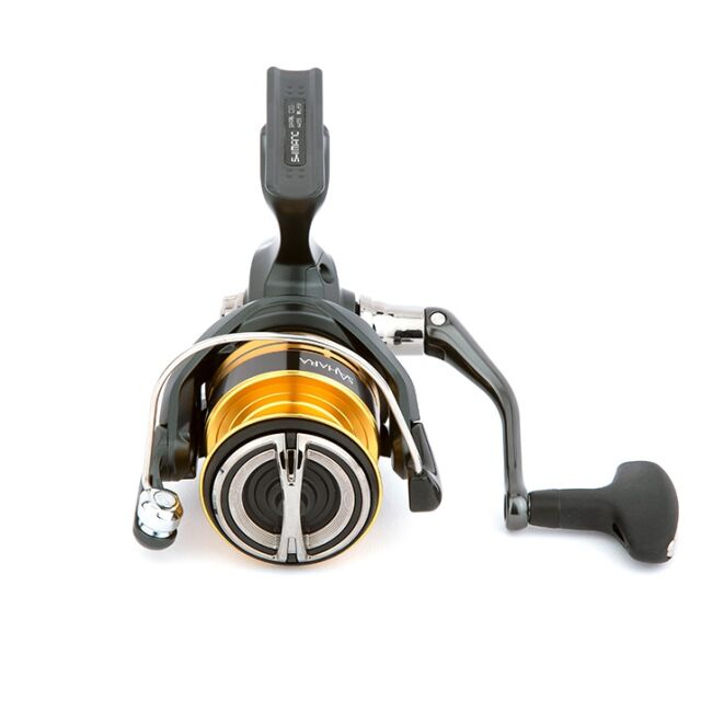 Shimano Sahara FJ C3000