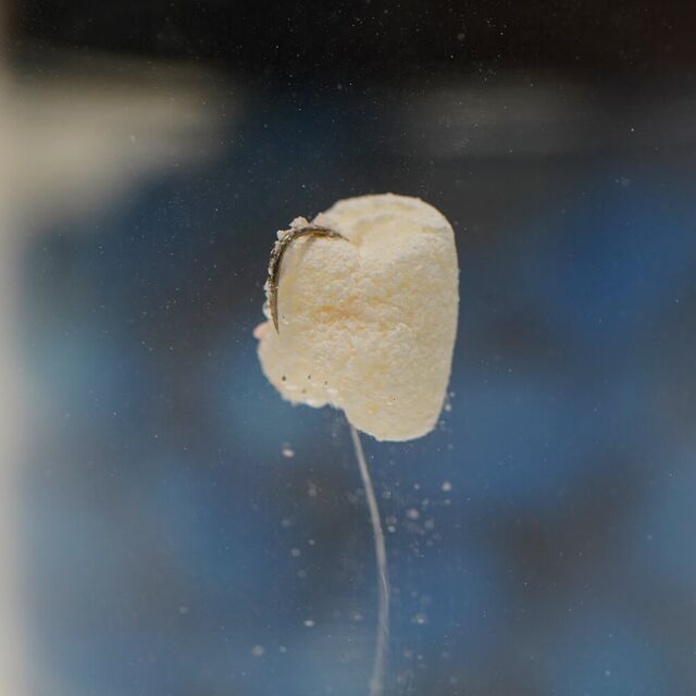 Trout Master Marshmallow Bits 35g