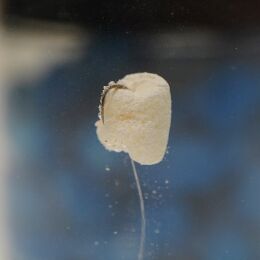 Trout Master Marshmallow Bits 35g