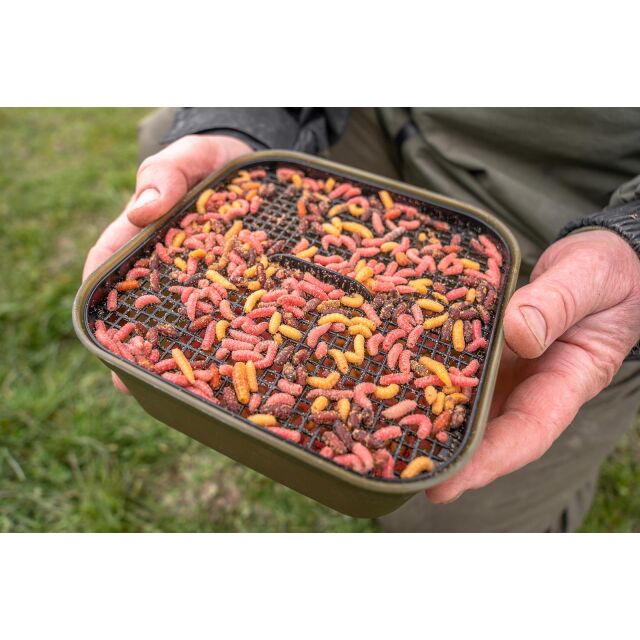 Korum Maggot Tub And Riddle 2pt 1,2L