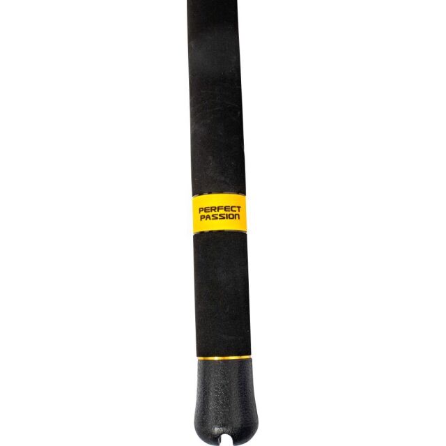 Black Cat Perfect Passion XH-S 2,80m 600g