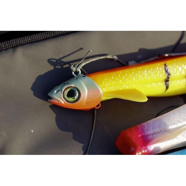 Black Cat Pelagic Shad