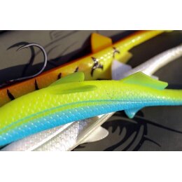 Black Cat Pelagic Shad