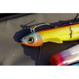 Black Cat Pelagic Shad