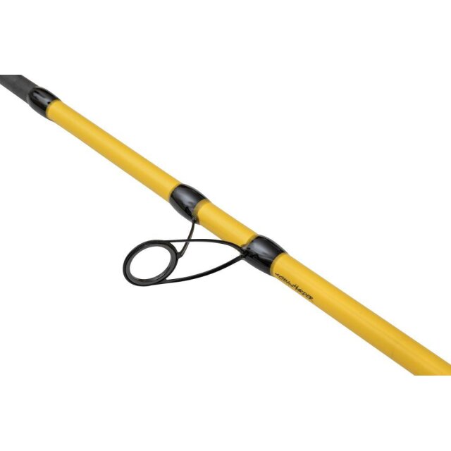 Black Cat Black Passion G2 Allround 2,70m 600g