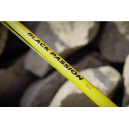 Black Cat Black Passion G2 Spin 2,70m 50-200g
