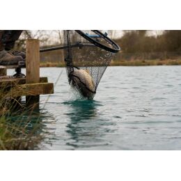 Preston Carp XS 20" Landing Net