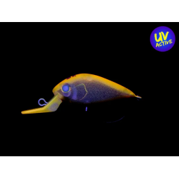 Nories Meet 29DR-SS (406M) Hypo Orange