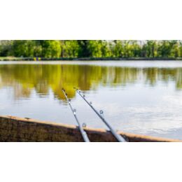 Preston Dura Pellet Waggler