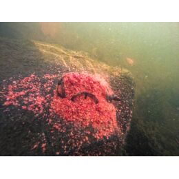 Korum Camo River Method Feeder 120g