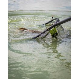 Matrix Carp Latex Landing Net L 55x45cm