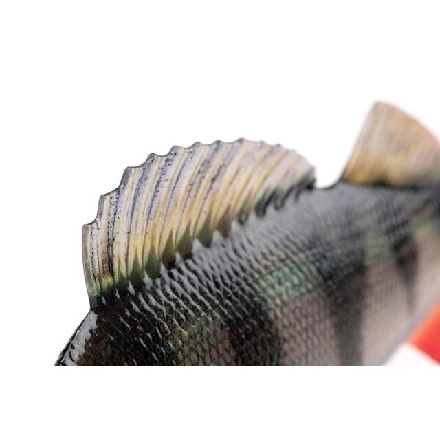 FOX Rage Ultra-Realistic Perch Replicant