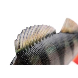 FOX Rage Ultra-Realistic Perch Replicant 18cm 100g #1/0