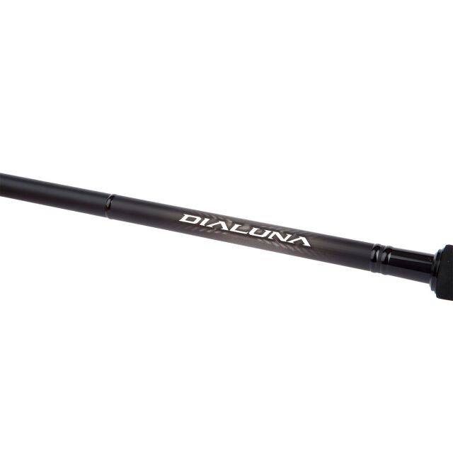 Shimano Dialuna Spinning Inshore S100 MH 3,05m 10-50g