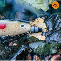 Zeck Softbait System + Screw Set