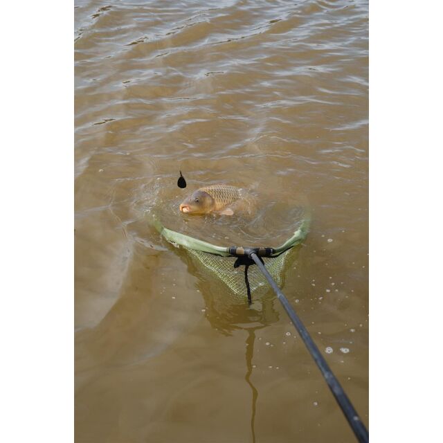 Korum Power Folding Triangle Latex | Faltbarer Latex-Kescher