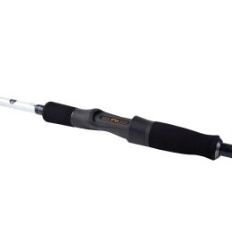 Shimano Bassterra XT+ Spin Sea Bass
