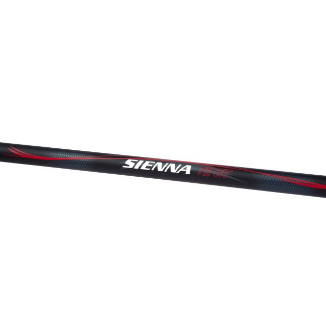 Shimano Sienna AR TEGT 2,70m 30-60g