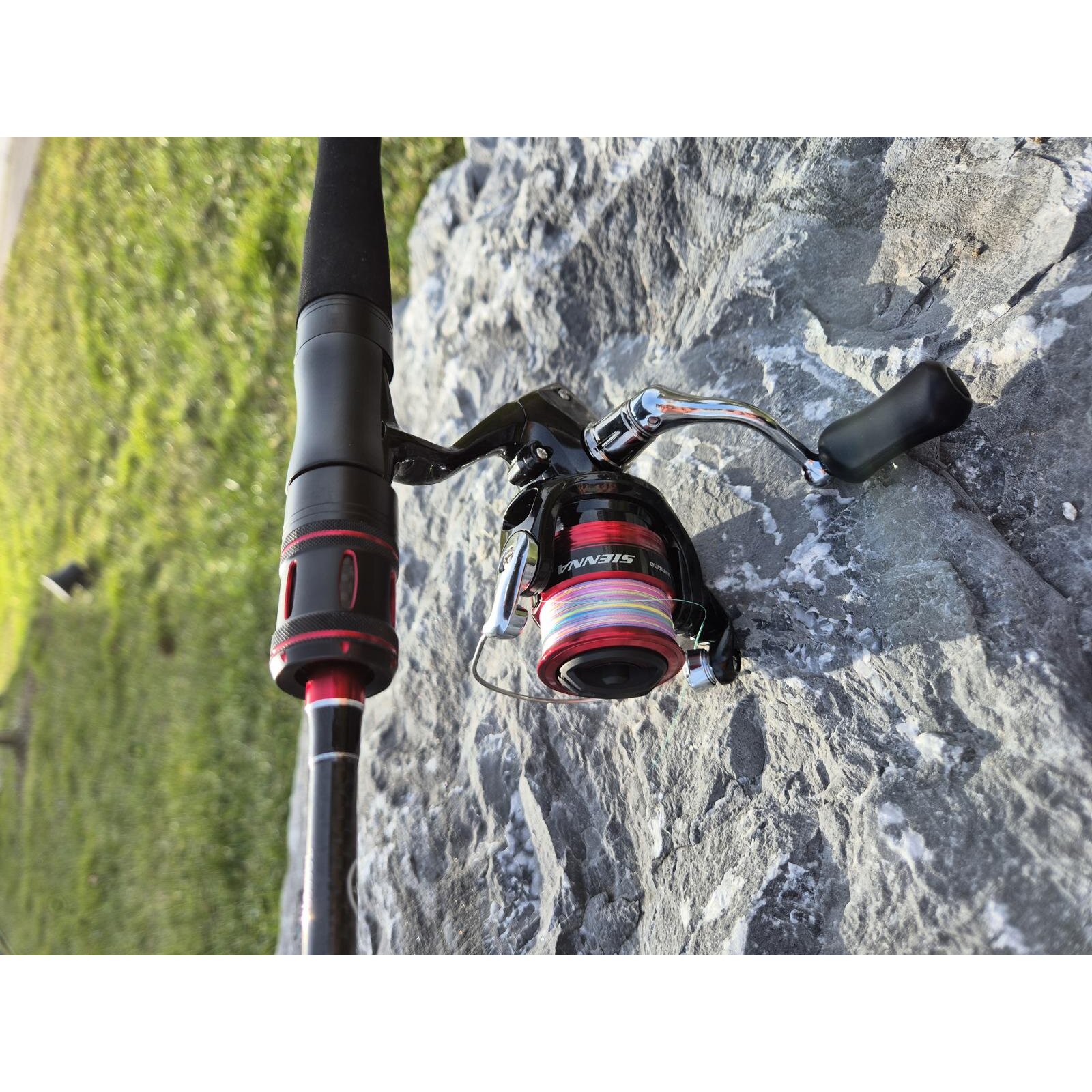 Shimano Forcemaster AS x Sienna UL Forellen Angel-Set
