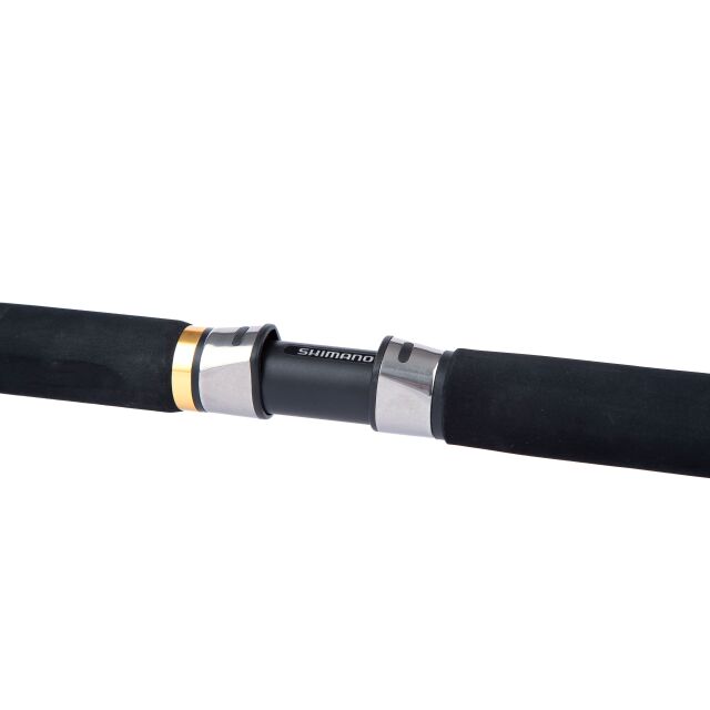 Shimano Beastmaster AX Pilk 2,40m 100-200g