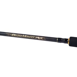 Shimano Beastmaster AX Pilk 2,40m 100-200g