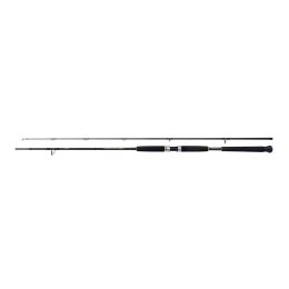 Shimano Beastmaster AX Pilk 2,40m 150-300g